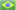 Português