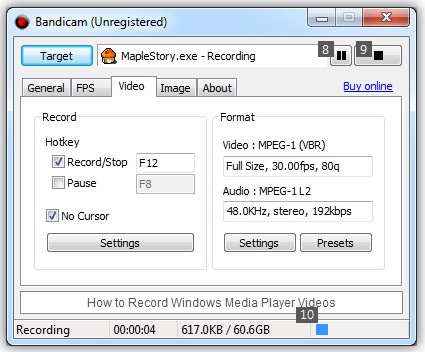 bandicam-recording-on.jpg