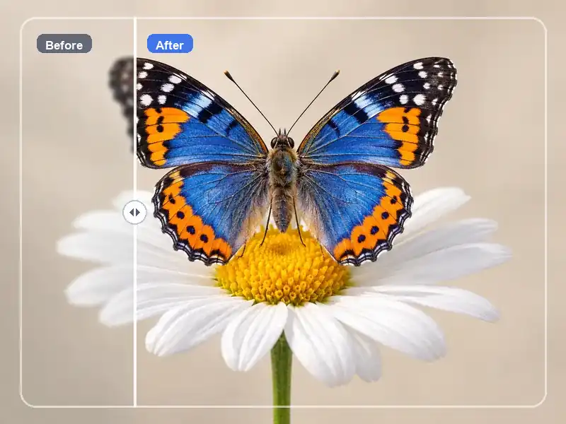 Before and after AI image upscaling comparison