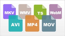 Various file format supported