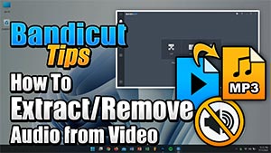 Extract or remove audio