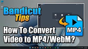 Video converter