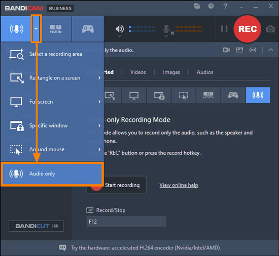 bandicam, spotify audio recording