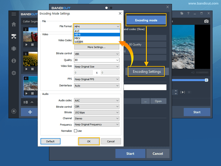video converter, batch video converter