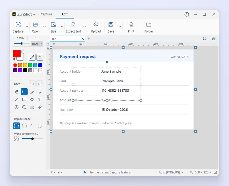 The ZunShot editor with a rectangular selection on the capture, its handles visible and the region shape options on the left